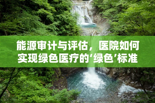 能源审计与评估，医院如何实现绿色医疗的‘绿色’标准？