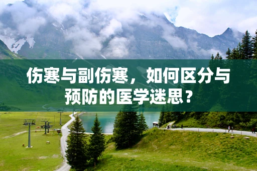 伤寒与副伤寒，如何区分与预防的医学迷思？