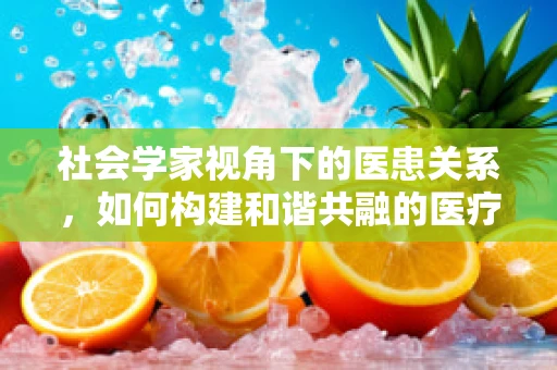 社会学家视角下的医患关系，如何构建和谐共融的医疗环境？