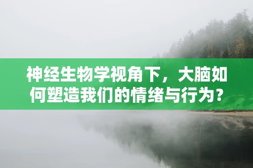 神经生物学视角下，大脑如何塑造我们的情绪与行为？