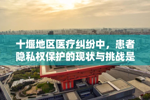 十堰地区医疗纠纷中，患者隐私权保护的现状与挑战是什么？