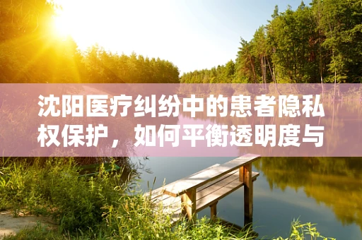 沈阳医疗纠纷中的患者隐私权保护，如何平衡透明度与隐私？