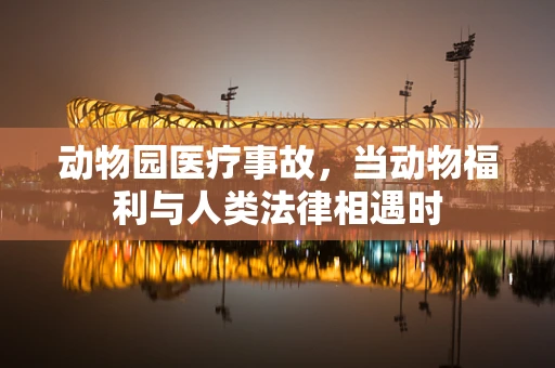 动物园医疗事故，当动物福利与人类法律相遇时