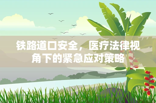铁路道口安全，医疗法律视角下的紧急应对策略