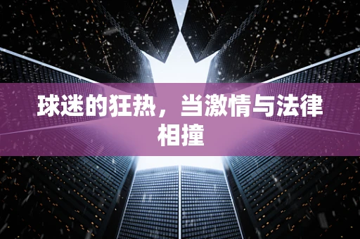 球迷的狂热，当激情与法律相撞