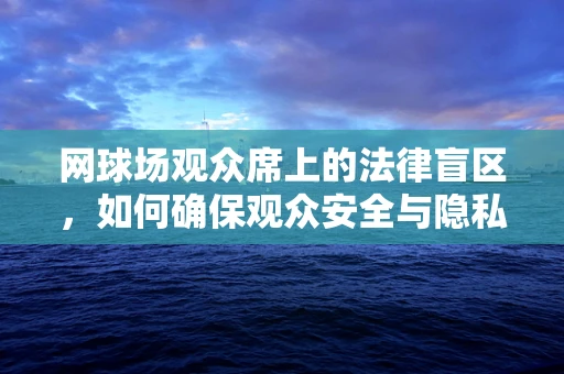 网球场观众席上的法律盲区，如何确保观众安全与隐私？