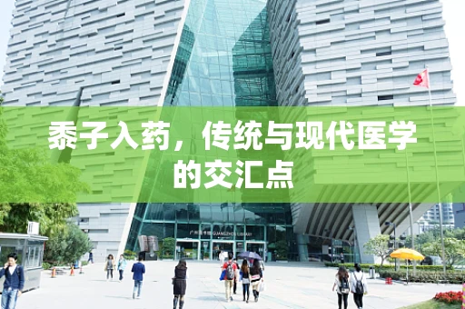 黍子入药，传统与现代医学的交汇点