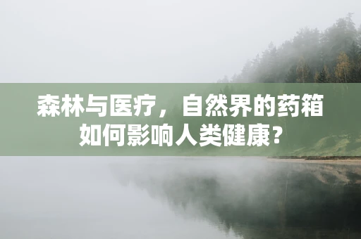 森林与医疗，自然界的药箱如何影响人类健康？