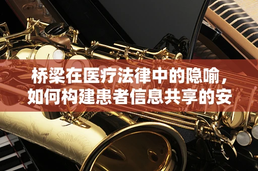 桥梁在医疗法律中的隐喻，如何构建患者信息共享的安全桥梁？
