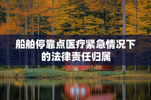 船舶停靠点医疗紧急情况下的法律责任归属