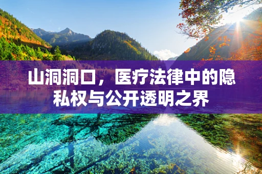 山洞洞口，医疗法律中的隐私权与公开透明之界