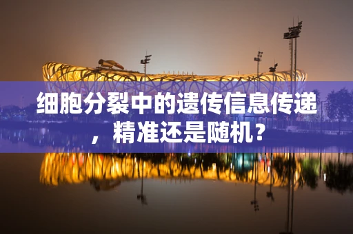 细胞分裂中的遗传信息传递，精准还是随机？