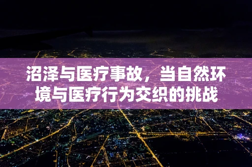 沼泽与医疗事故，当自然环境与医疗行为交织的挑战