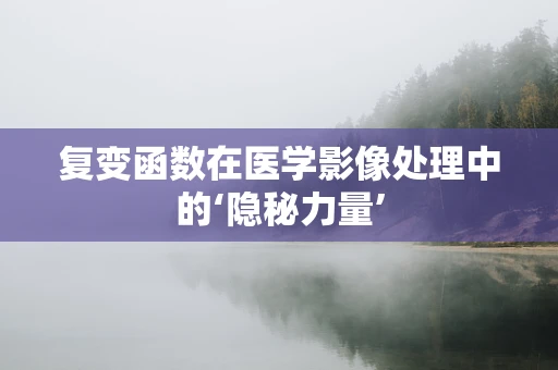 复变函数在医学影像处理中的‘隐秘力量’