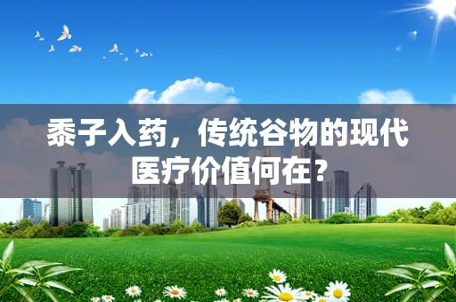 黍子入药，传统谷物的现代医疗价值何在？