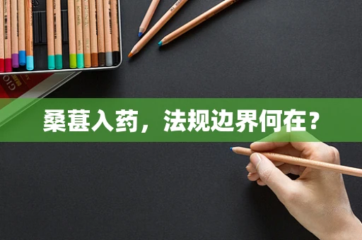 桑葚入药，法规边界何在？