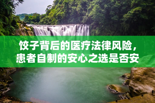 饺子背后的医疗法律风险，患者自制的安心之选是否安全？