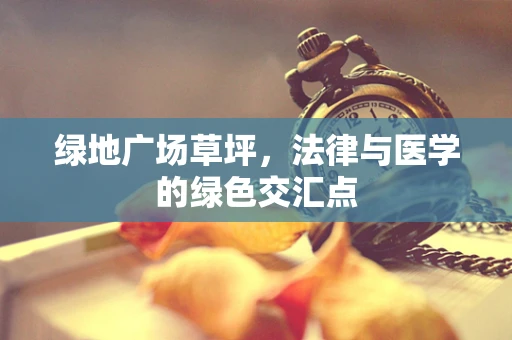 绿地广场草坪，法律与医学的绿色交汇点