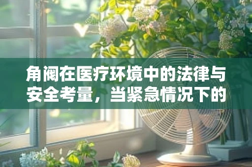 角阀在医疗环境中的法律与安全考量，当紧急情况下的生命开关