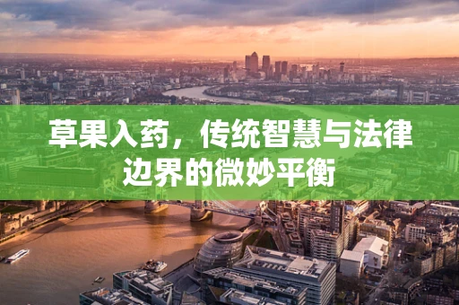 草果入药，传统智慧与法律边界的微妙平衡