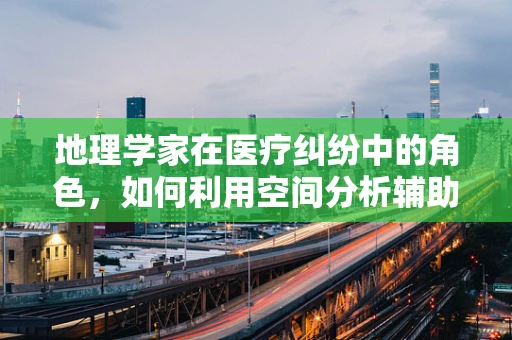 地理学家在医疗纠纷中的角色，如何利用空间分析辅助法律决策？