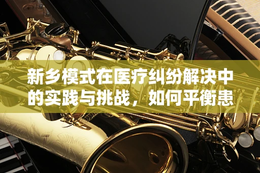 新乡模式在医疗纠纷解决中的实践与挑战，如何平衡患者权益与医院运营？