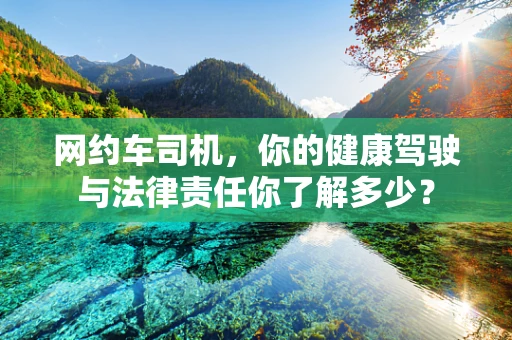 网约车司机，你的健康驾驶与法律责任你了解多少？