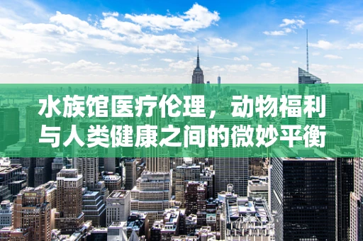 水族馆医疗伦理，动物福利与人类健康之间的微妙平衡