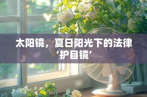 太阳镜，夏日阳光下的法律‘护目镜’