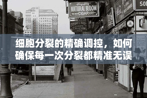 细胞分裂的精确调控，如何确保每一次分裂都精准无误？