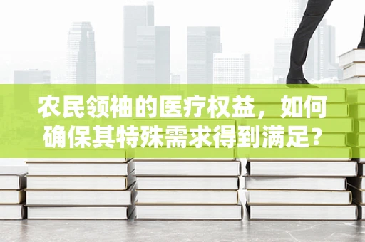 农民领袖的医疗权益，如何确保其特殊需求得到满足？