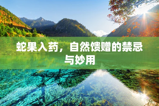 蛇果入药，自然馈赠的禁忌与妙用