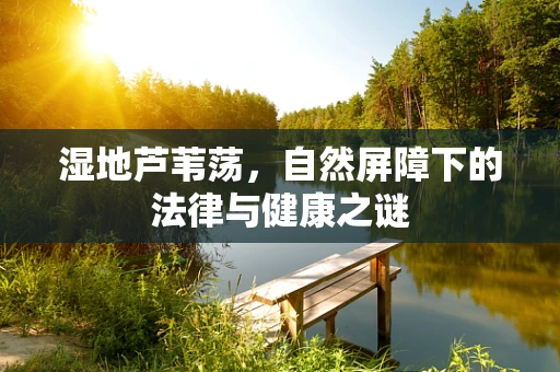 湿地芦苇荡，自然屏障下的法律与健康之谜