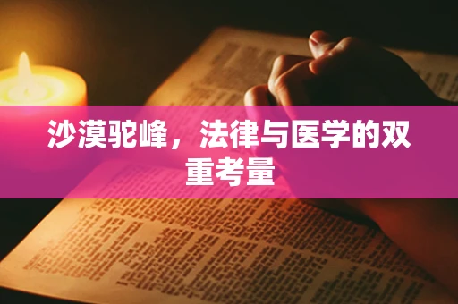 沙漠驼峰，法律与医学的双重考量