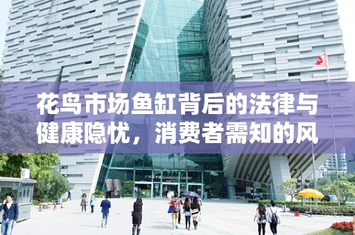 花鸟市场鱼缸背后的法律与健康隐忧，消费者需知的风险点