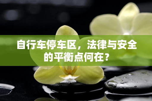 自行车停车区，法律与安全的平衡点何在？